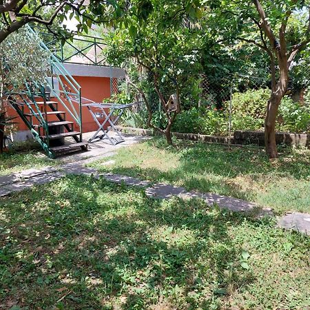 קוטור Garden Apartmant Near Sea מראה חיצוני תמונה