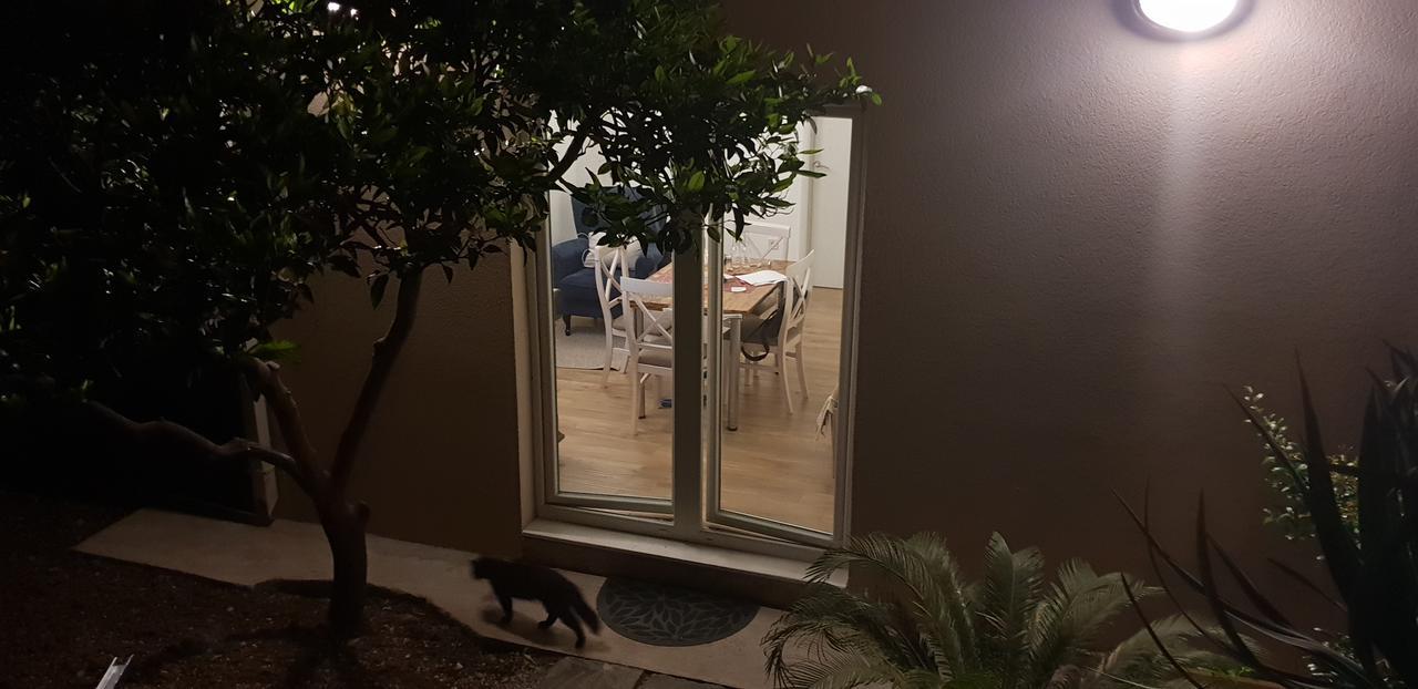 קוטור Garden Apartmant Near Sea מראה חיצוני תמונה